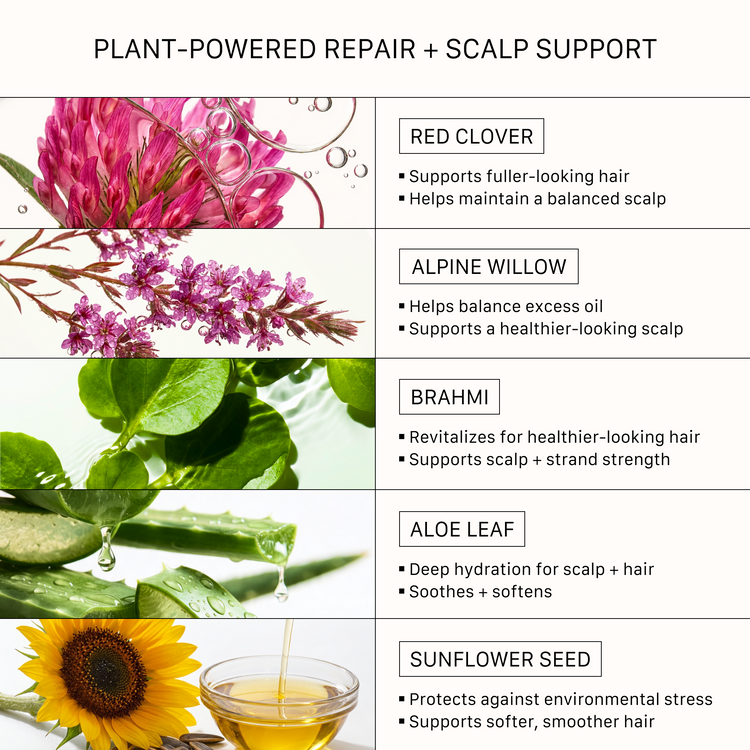 Product advertisement for plant-powered hair care with images of flowers and plants.